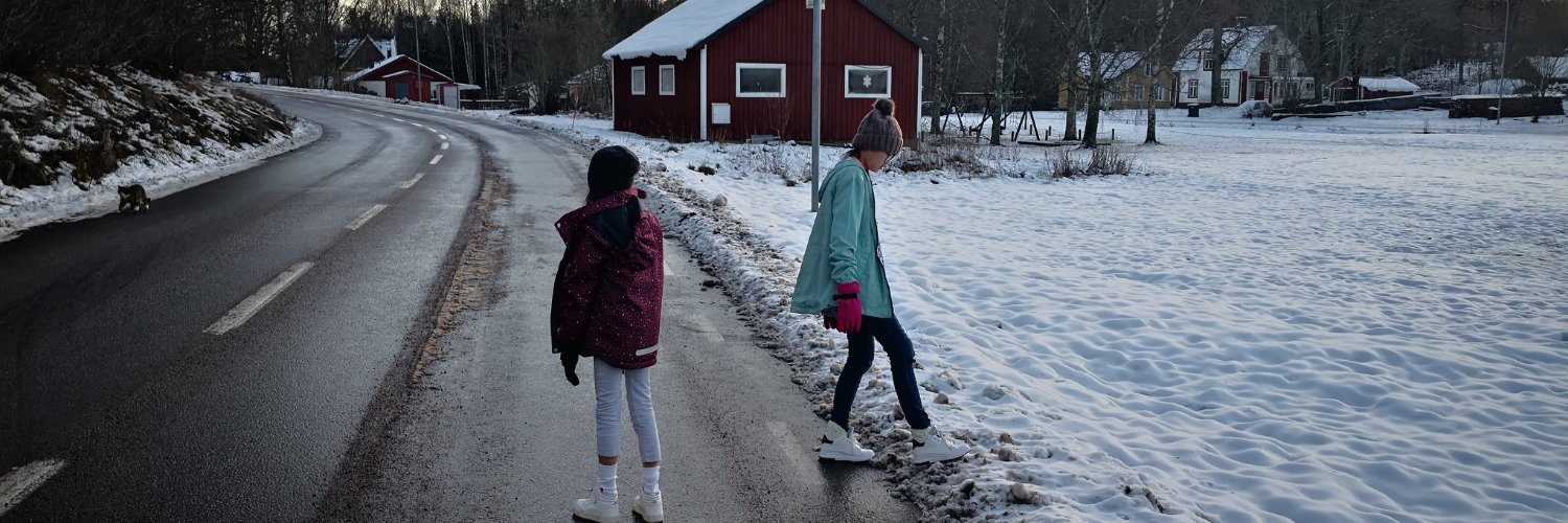 SwedenThaiStudy's profile banner image