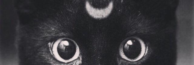 w_w94's profile banner image