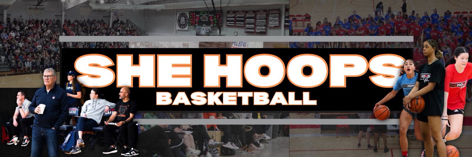She Hoops Michigan banner