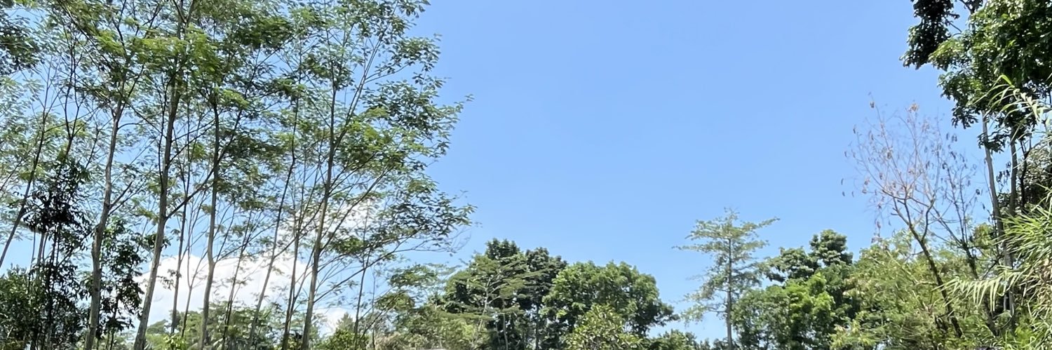 Prelovedree banner