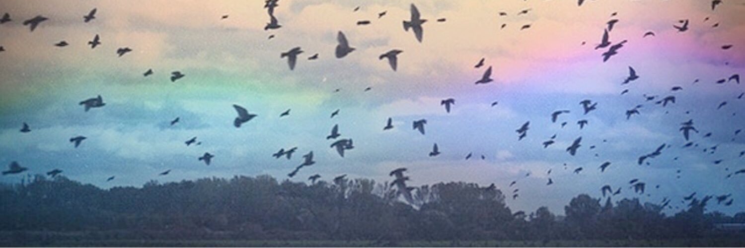 stvceyh's profile banner image