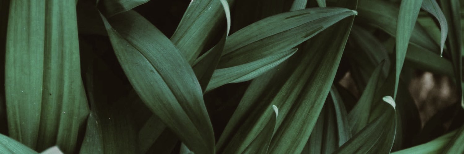 gurebitch_'s profile banner image