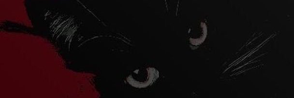 rubystar__'s profile banner image