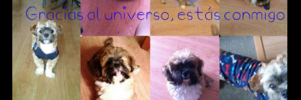 estef_ire's profile banner image