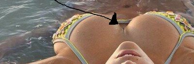 3dollarbag's profile banner image