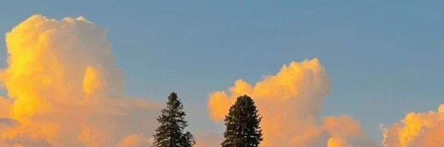 raimij_'s profile banner image