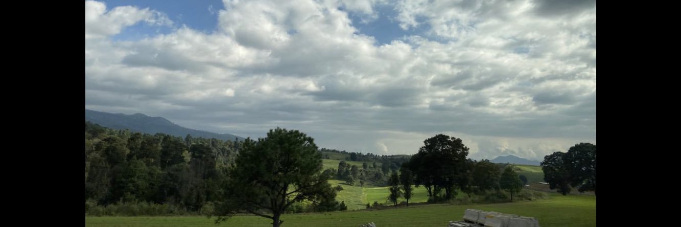 Alejandra Nuño banner