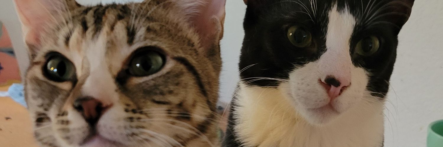 thugmemaw's profile banner image