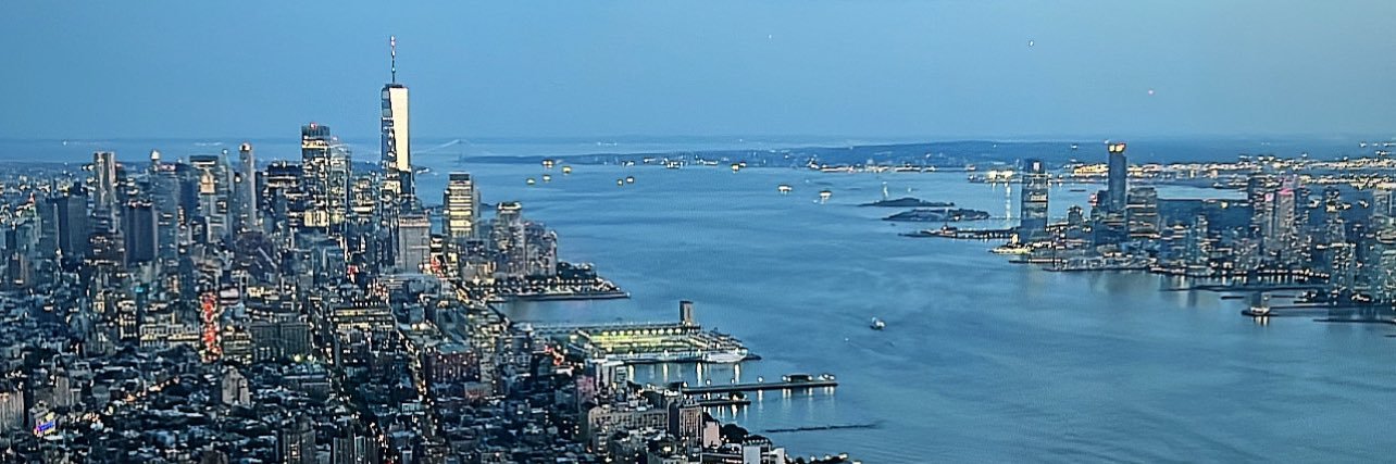 wingking | vvs.eth banner