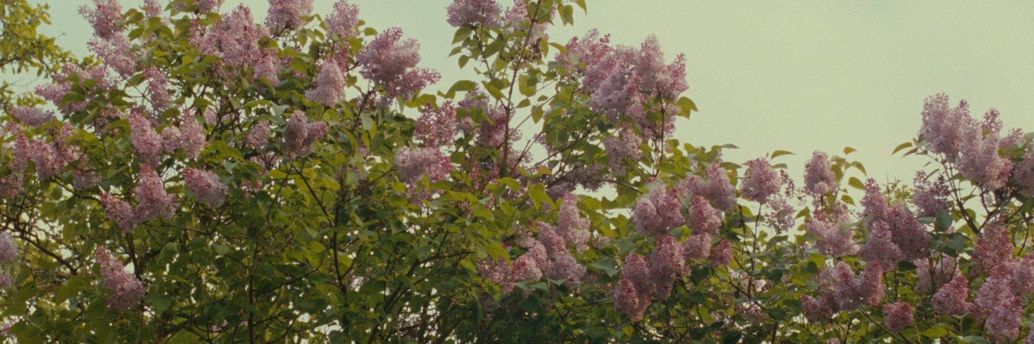 cvsalvaro's profile banner image