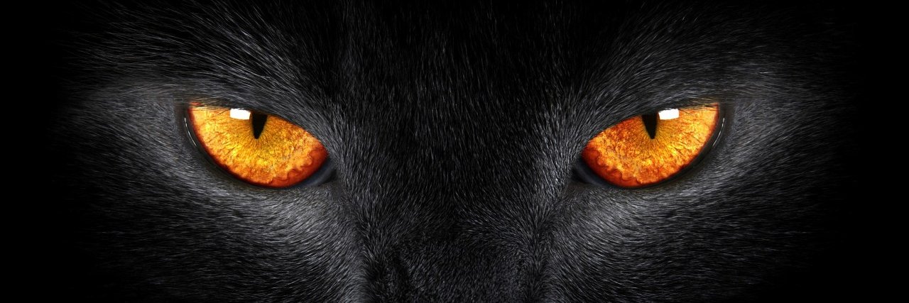 bramblesofhull's profile banner image