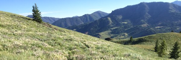 bravojjm Profile Banner