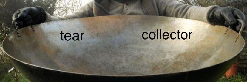 Days Since Leiston Won A Suffolk Cup banner