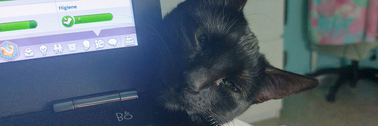 patricastillo96's profile banner image