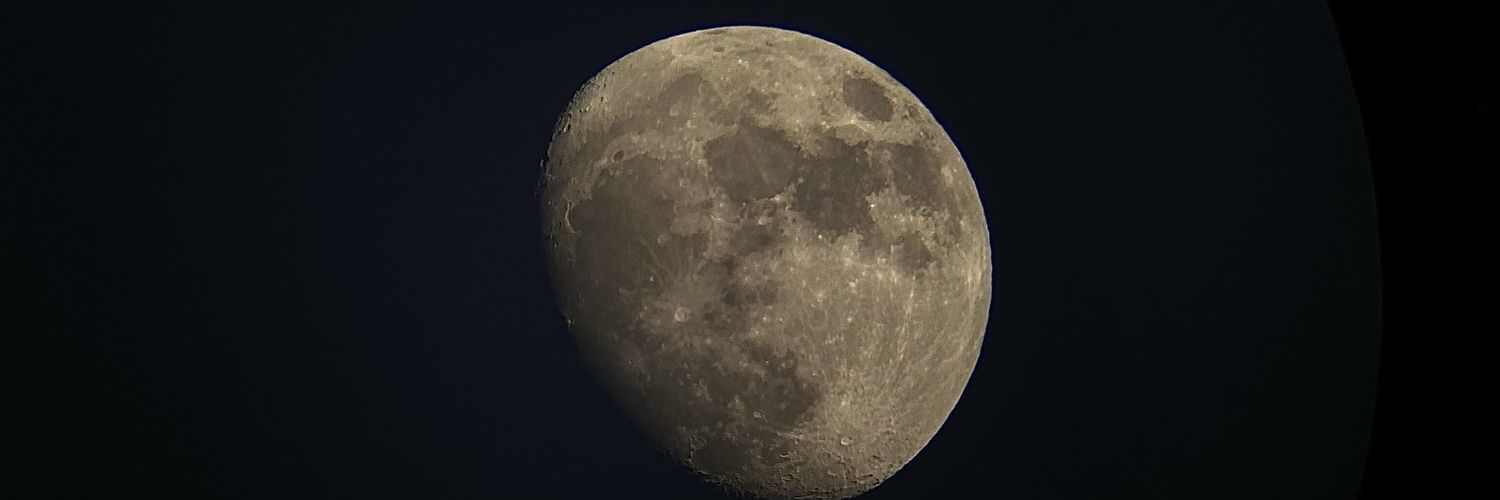 cunicula_'s profile banner image