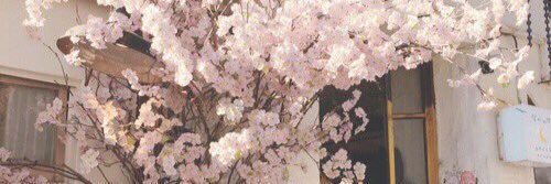 awwbeth's profile banner image