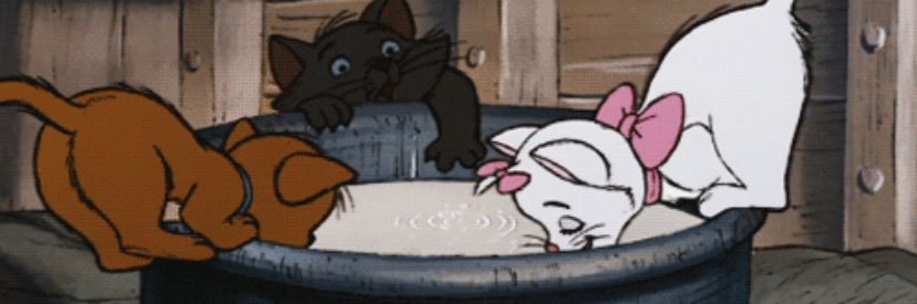 real__pnj's profile banner image