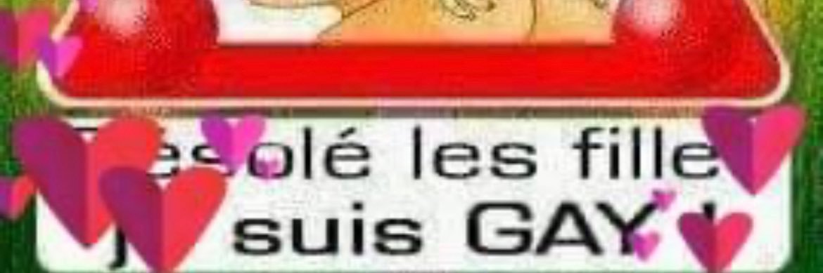 Herve Moreau banner