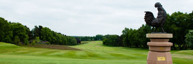 The Secretary banner