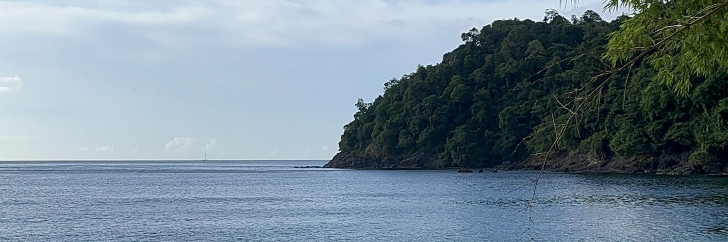 Coco P 🇹🇹🇬🇧 banner