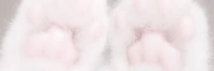 SLOW물복 banner