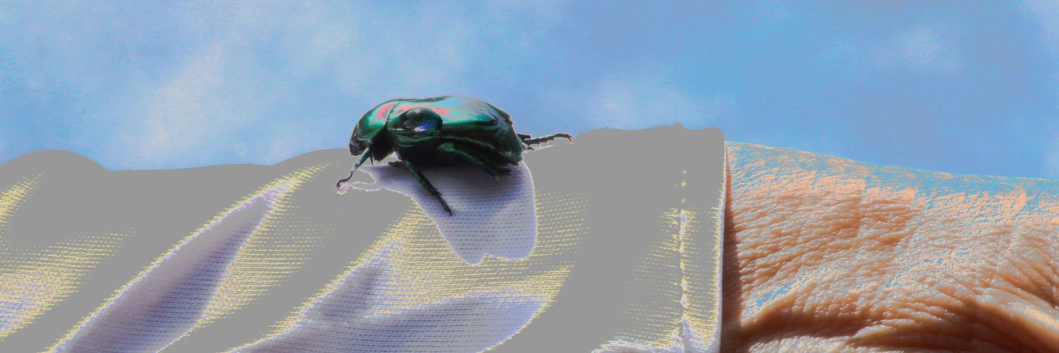 vitoliro's profile banner image