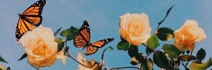 RosaaAndreaa_'s profile banner image