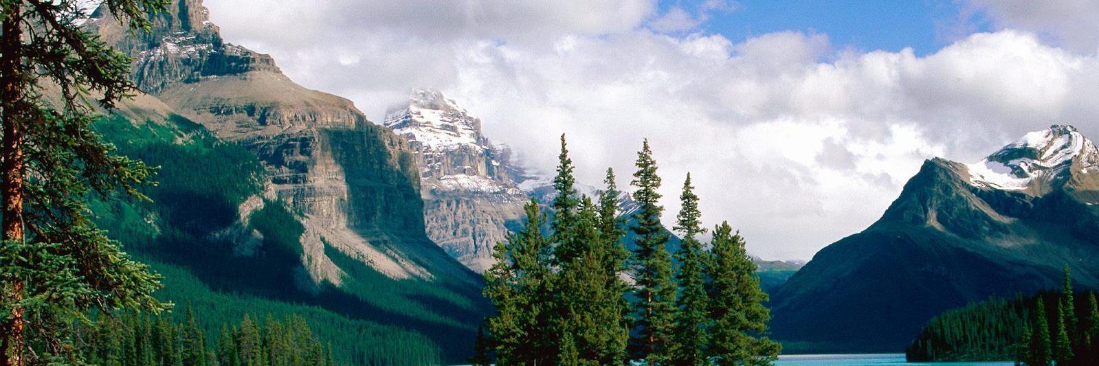ACFAJasper's profile banner image