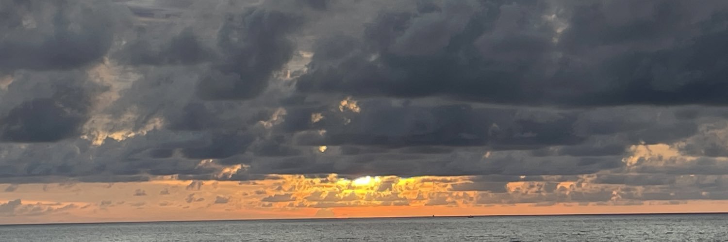 randomicyn's profile banner image