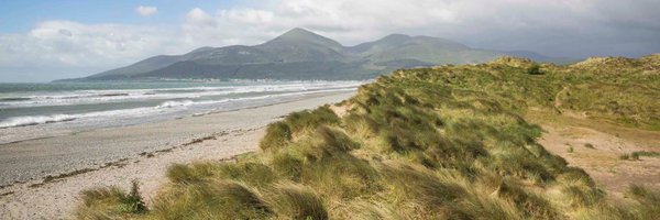 owens_declan Profile Banner