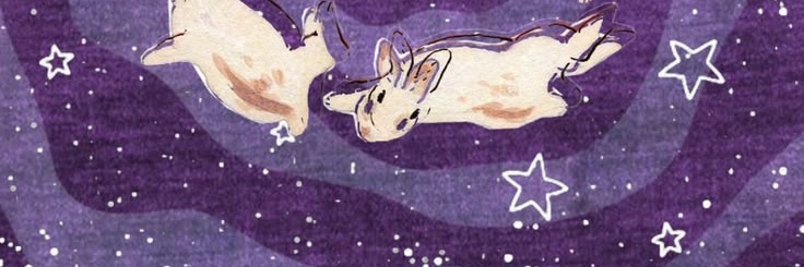 Pip ݁ ˖Ი𐑼⋆ banner