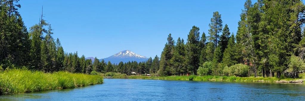 Mary Doyle For Congress Oregon CD2 banner