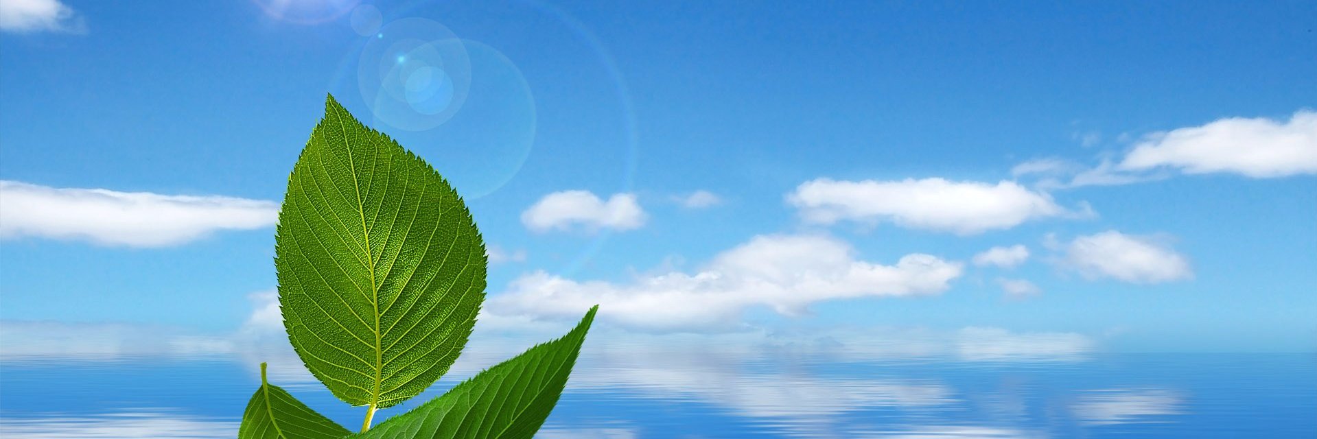 simocontact's profile banner image
