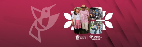 UAI_EDOMEX Profile Banner