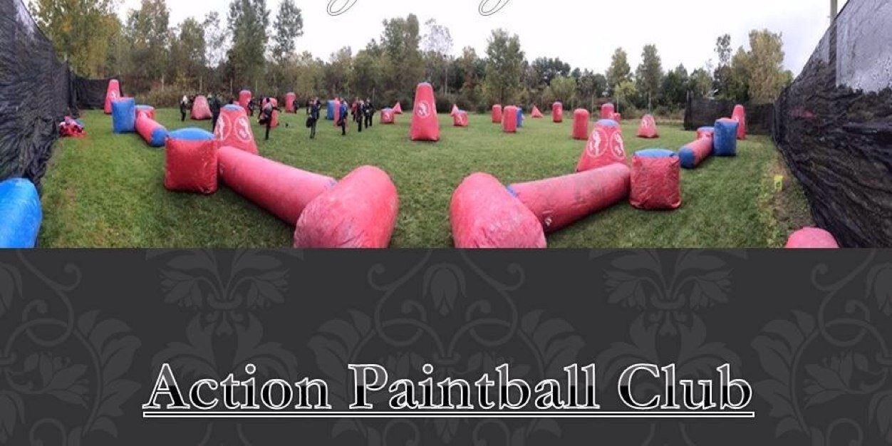 Detroit Action banner