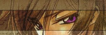 zoned banner