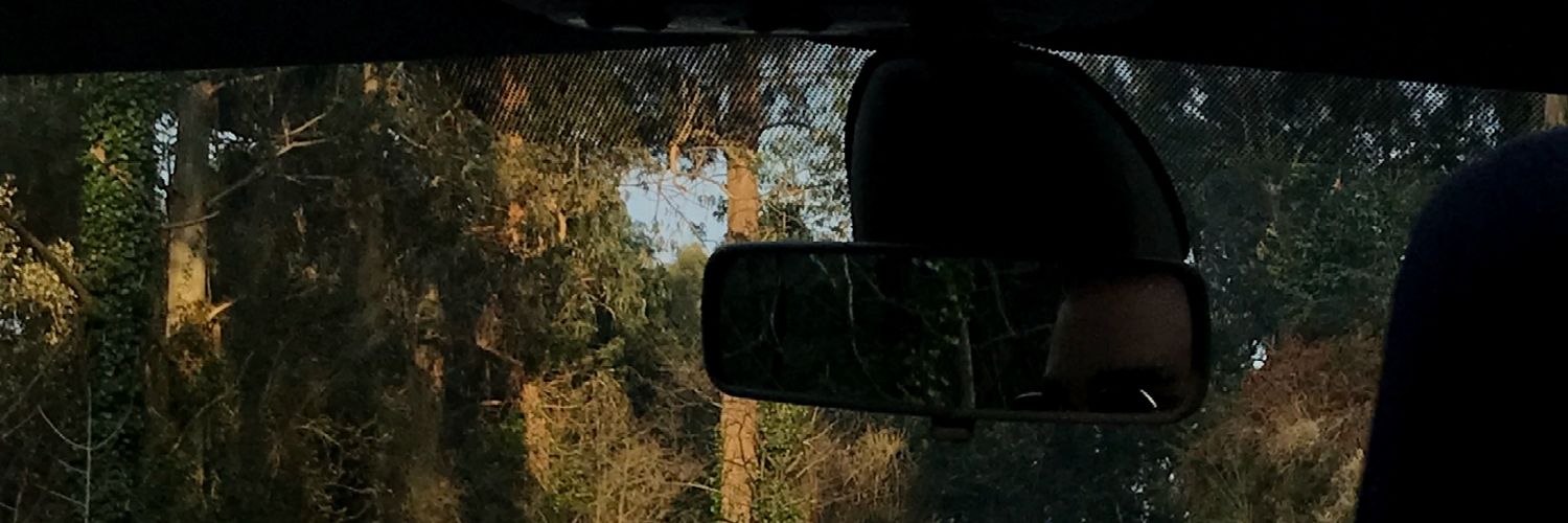amaiaof's profile banner image
