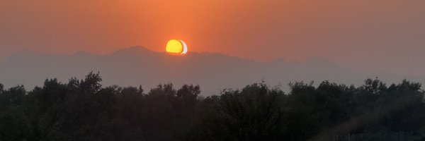 ivychoso Profile Banner