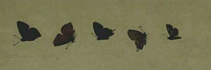 𝒦𝑒𝓃𝓃𝑒𝒹𝓎. banner