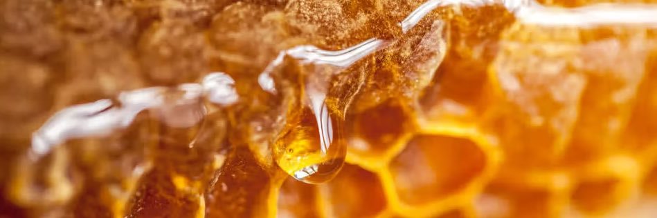 Beeko 🐝 banner