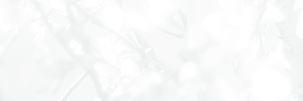 ᑫᕋ ♡’s Eishia ! banner