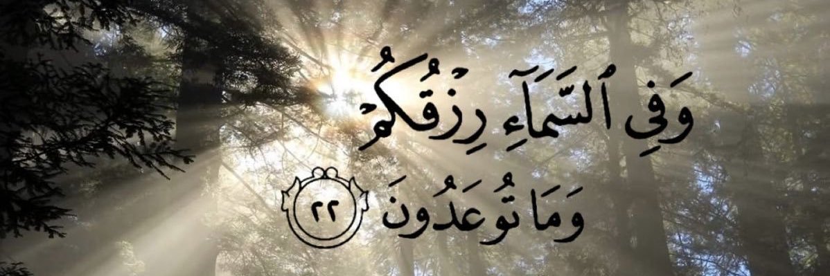 shden3li's profile banner image