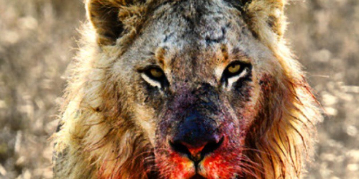 DaTakeover_3's profile banner image