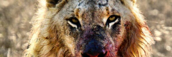 DaTakeover_3 Profile Banner