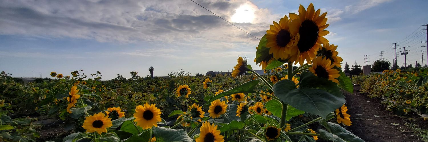 chitchattj's profile banner image