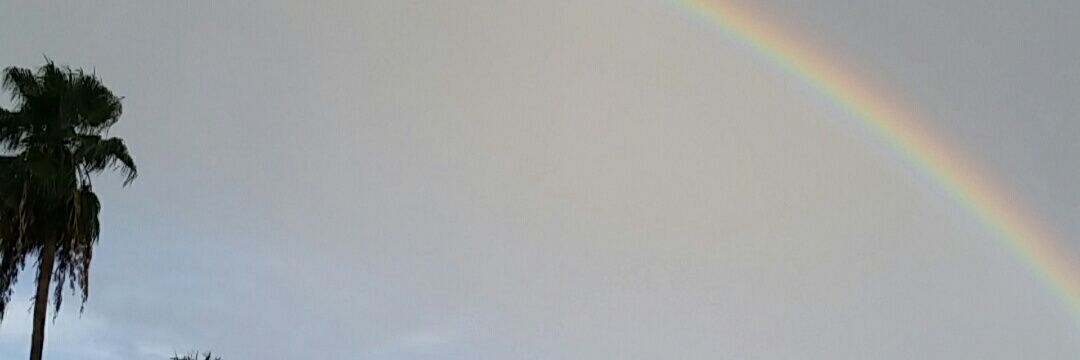 tori7679's profile banner image