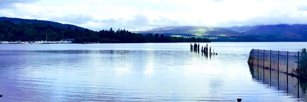 VoltaireX 🏴󠁧󠁢󠁳󠁣󠁴󠁿✨ banner