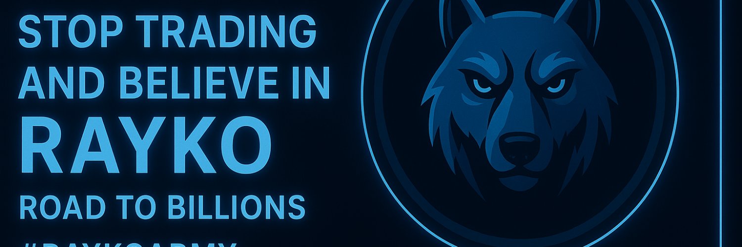 Raykoinu's profile banner image