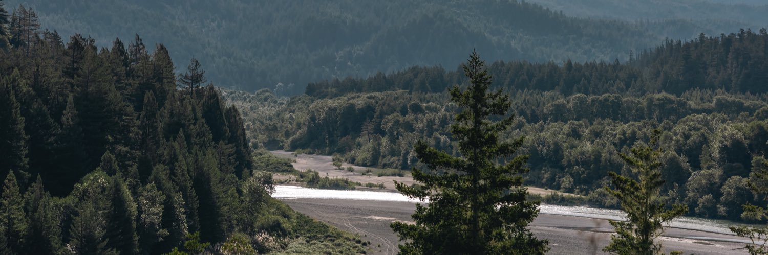 Andrey Sushch banner