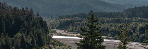 AndreySushch Profile Banner